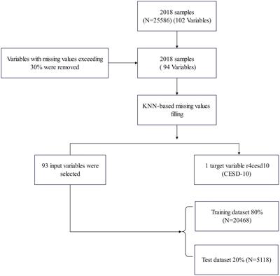 Identifying the most crucial factors associated with depression based on interpretable machine learning: a case study from CHARLS